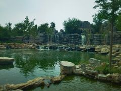 -北京野生动物园