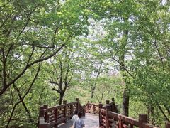 -紫金山山顶公园