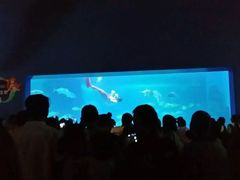 -常州海昌海洋探索馆