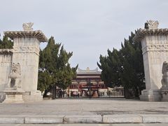 -洛阳古墓博物馆