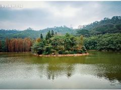-滴水岩森林公园