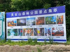 -天女山森林公园