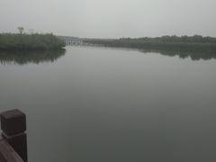 -西青郊野公园
