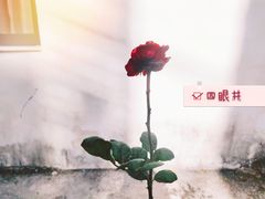 -杭州西湖风景名胜区-满觉陇四眼井