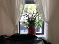-Garden花園造型