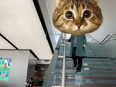 -Apple 零售店(Canton Road)