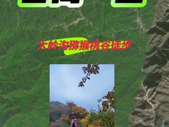 -大岭沟猕猴桃谷风景区