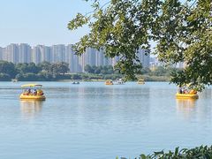 -洋湖国家湿地公园