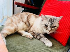 -雕刻时光·咖啡·酒吧·西餐(香山店)