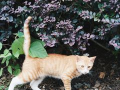 -敬亭山风景名胜区