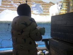 -大连圣亚海洋世界