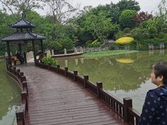 -朴园