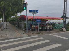 -会龙寺