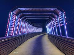 -昆山城市生态森林公园