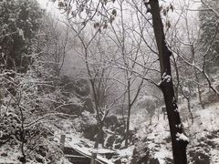 -北京凤凰岭