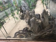 -荔城生鲜盛宴(番禺旗舰店)