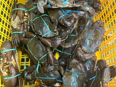 -真浪大家乐海鲜餐馆