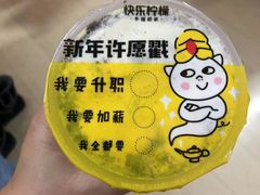-快乐柠檬happylemon(日月光店)