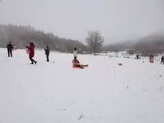 -武陵山森林公园