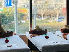 -泰迈·影院式足道SPA(世纪大道店)