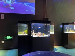 -沈阳海洋探索中心