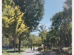 -回龙观体育文化公园