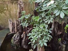-壹零贰小馆(桂城石啃店)
