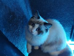 -零纪元VR体验馆·桌游(黄浦店)