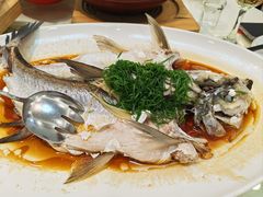 -渔意楼·驰名沙田乳鸽(五羊店)