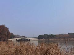 -东湖落雁景区