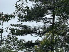 -大明山自然探索公园