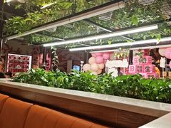 -猫爪爪原切自助烤肉(观音桥阳光世纪店)