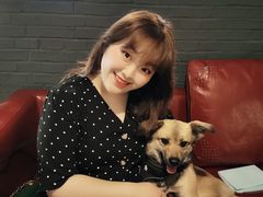 -百好乐宠物友好餐厅(朝外大街店)