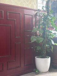 -南京医科大学友谊整形外科医院