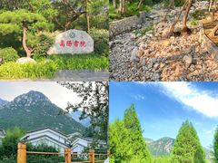 -禅宗少林·音乐大典