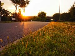 -永定河休闲森林公园