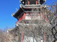 -北京鹫峰国家森林公园