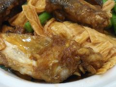支竹鱼头煲-凤城酒家(环市西路店)