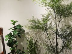 -理疗君·古法推拿姜疗SPA馆(东门店)