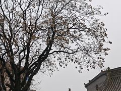 -万寿八仙宫