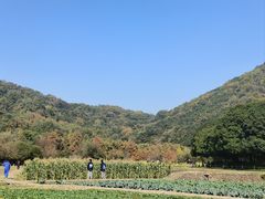 -八卦田遗址公园