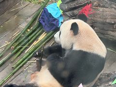 -大连森林动物园