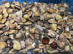 -阿伟海鲜楼·福建菜(延寿店)