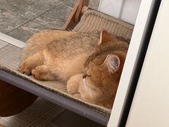 -野人部落(沈阳一店)