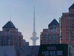 -龙塔