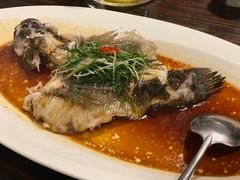 -维园悦谱·海派家常菜(乌鲁木齐南路店)