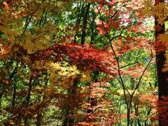 -丹东天桥沟景区