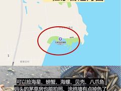 -巧克力渔家.小船海鲜胶东菜(万平口店)