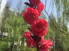 -杭州师范大学(下沙校区)
