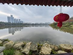 -洛龙公园